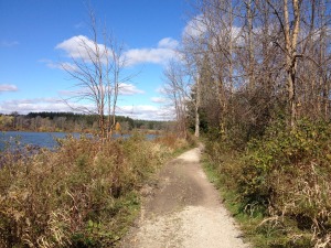 Fanshawe Lake Trail
