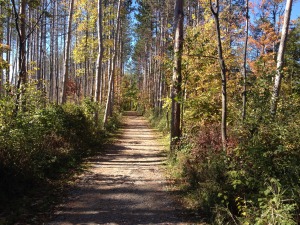 main trail 2