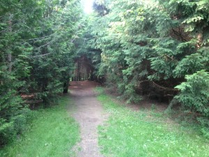 Lioins Lake Wooded Trail