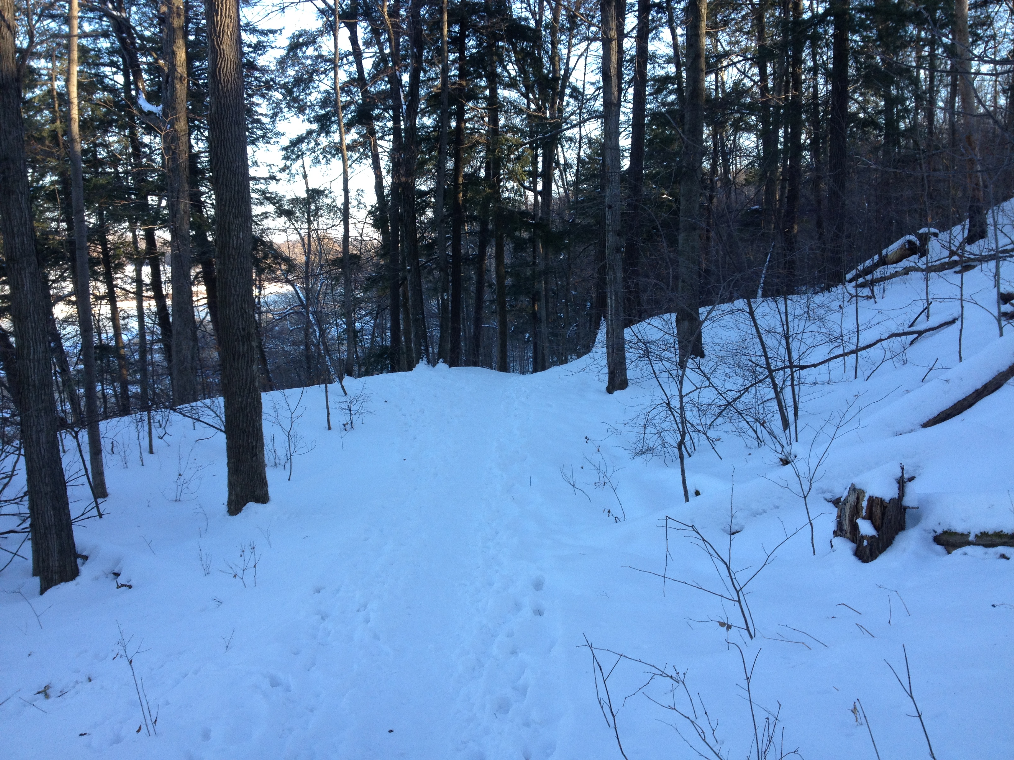 winter-trail