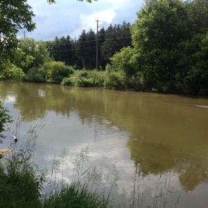 Lawson Creek (2)