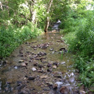 Lawson Creek