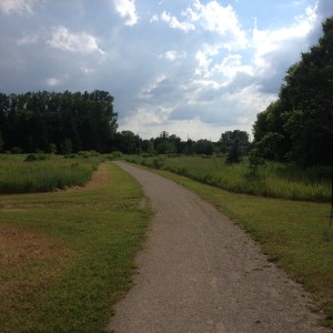 Lawson trail