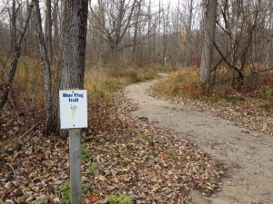 Blue Flag Trail
