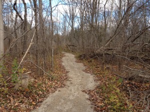 Blue Trail