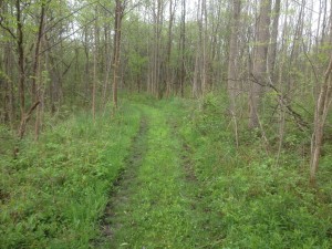 LCH Grass Trail
