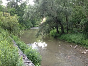 Medway Creek